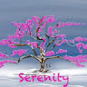 Meet your Posher, Sally